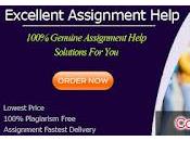 Best College Assignment Help Australia Experts Affordable Prices