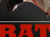 CELEBRATE BATS During INTERNATIONAL WEEK Whole Year