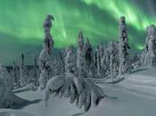 Best Aurora Alert Space Weather Services Lapland Holidays