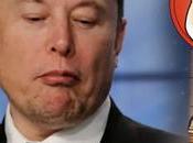 What Elon Musk's Opinion Shiba Coin? Interested Coin News