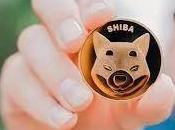 Does Shib Coin Have Potential? Shiba News Price Prediction