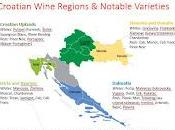 Grape Spotlight: Croatian Isterian Teran