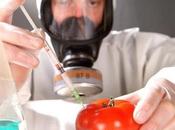 Food Stabilizer Market 2022 Demand, Opportunities ,Size Forecast 2026