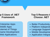 Companies .Net Enterprise Development?