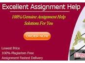 Entrepreneurship Essay Writing Help Online Tutoring Services Ensure Your Concepts Clarified