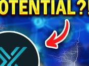 Immuteable FIRST Layer Scaling Resolution. Purchase NFTs with ZERO Charges!