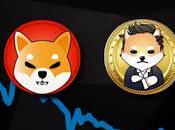 Rise Shiba Coin, Starts Meme Coin Cryptocurrency Trends