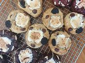 S'more Cookies Flavours)