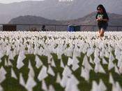 Which Wednesday Edition