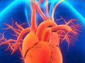 Transcatheter Aortic Valve Implantation (TAVI) Market Global Opportunity Analysis Industry Forecast, 2018––2026