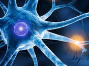 Neuropathic Pain Market Size, Share, Manufacturers, Latest Trends, Future Prospects Forecast 2027