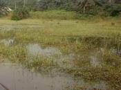 Body Surfaces Three Days After Drowned Akwa Ibom