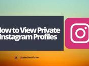 View Private Instagram Profiles