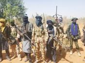 Zamfara Elders Raise Alarm After Security Agencies Released Arrested Bandits