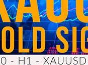 Xauusd Live Gold Accumulation Distribution Trends Forecast Graph