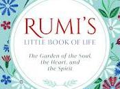 Rumi's Little Book Life #pebbleinwaterswrites #books #bookreview #tbrchallenge #bookchatter @blogchatter