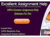 Provide Customized Best Solutions Academic Accounting Homework Help