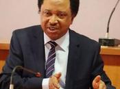 Tackles Shehu Sani Over Governorship Bid, Calls Idle Blogger