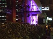 Yumi… More Than Yummy