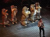 Huge Victory! Wild Animals Circuses into Effect 2015