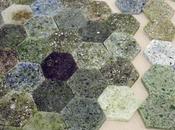 Another Beautiful Recycle