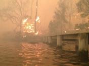 Bushfires Rage Sydney