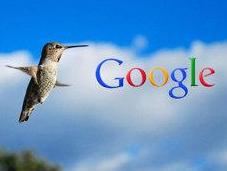 How, Why, Where When Hummingbird Google