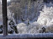 Blue Sky, White Snow