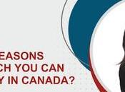 What Reasons Prevailing Which Denied Entry Canada?