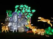 GLOFARI OAKLAND ZOO, Spectacular Larger-Than-Life Animal Lanterns