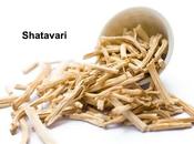Shatavari Helps Sexual Frigidity Women After Childbirth!