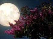 Full Moon Cancer Foreshadowing Deeper More Intense Change
