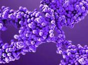 Biosimilars Market Rapidly Increasing Growth Latest Report With Future Estimations, Current Trends Opportunity Analysis 2018-2026