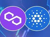 Scalability Issues Like Polygon Affect Cardano Once Sundae Swap Goes Live?