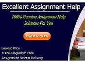 Professional Strategy Assignment Help Writers Will Make Your Paper Impressive