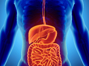 Inflammatory Bowel Disease Market Size, Share, Outlook, Opportunity Analysis, 2021 2028