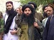 Senior Pakistani Taliban Leader Killed Afghanistan: Official