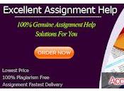 Experts Always There Students Want Help Assistance Accounting Best Possible