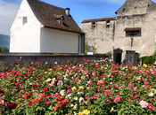 Rapperswil: Rose Gardens Much More