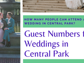 Many Guests Attend Wedding Central Park?