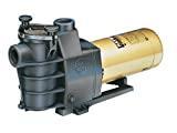 Hayward MaxFlo Pool Pump Reviews