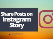 Share Posts Instagram Story