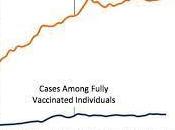 Pandemic Unvaccinated Fools