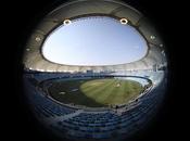 Auction Temporarily Halted