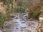 Park Maplewood, Jersey