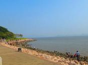 Chinese Spring Festival 2018... China: Shenzhen Xiamen!