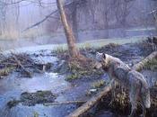 Russia Invades Ukraine Captures Chernobyl