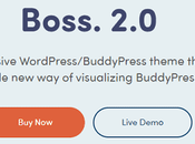 Best BuddyBoss Themes WordPress 2022 Create Online Community!