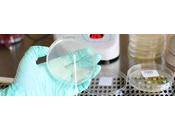 Pyrogen Testing Market Research Report, Product Test Type Application End-User —Global Forecast Till 2030