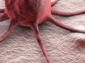 Cancer/Tumor Profiling Market Share, Size Global Historical Analysis, Segmentation, Application, Technology, Trends Opportunities Forecasts 2018 2026